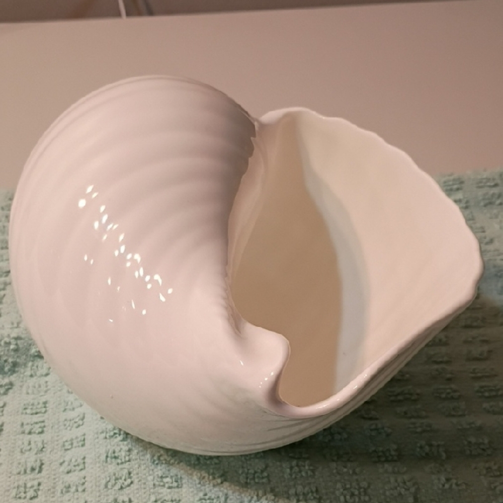 Wedgwood Nautilus Collection SeaShell Bone China England Seashore Beach Summer - Picture 3 of 7
